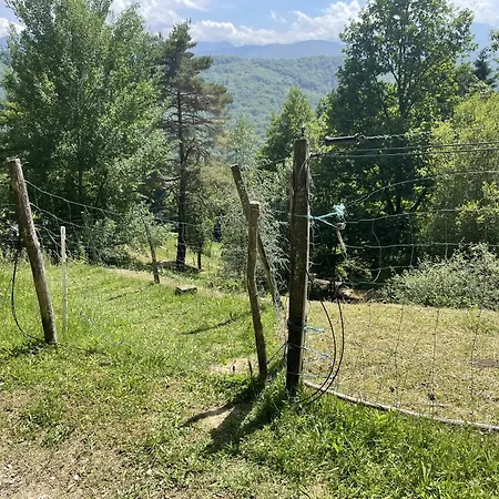Pensión La Bernadole - Et 3*